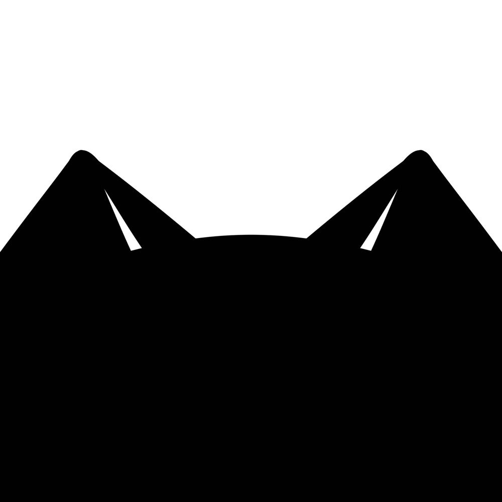 Black Cat Studio
