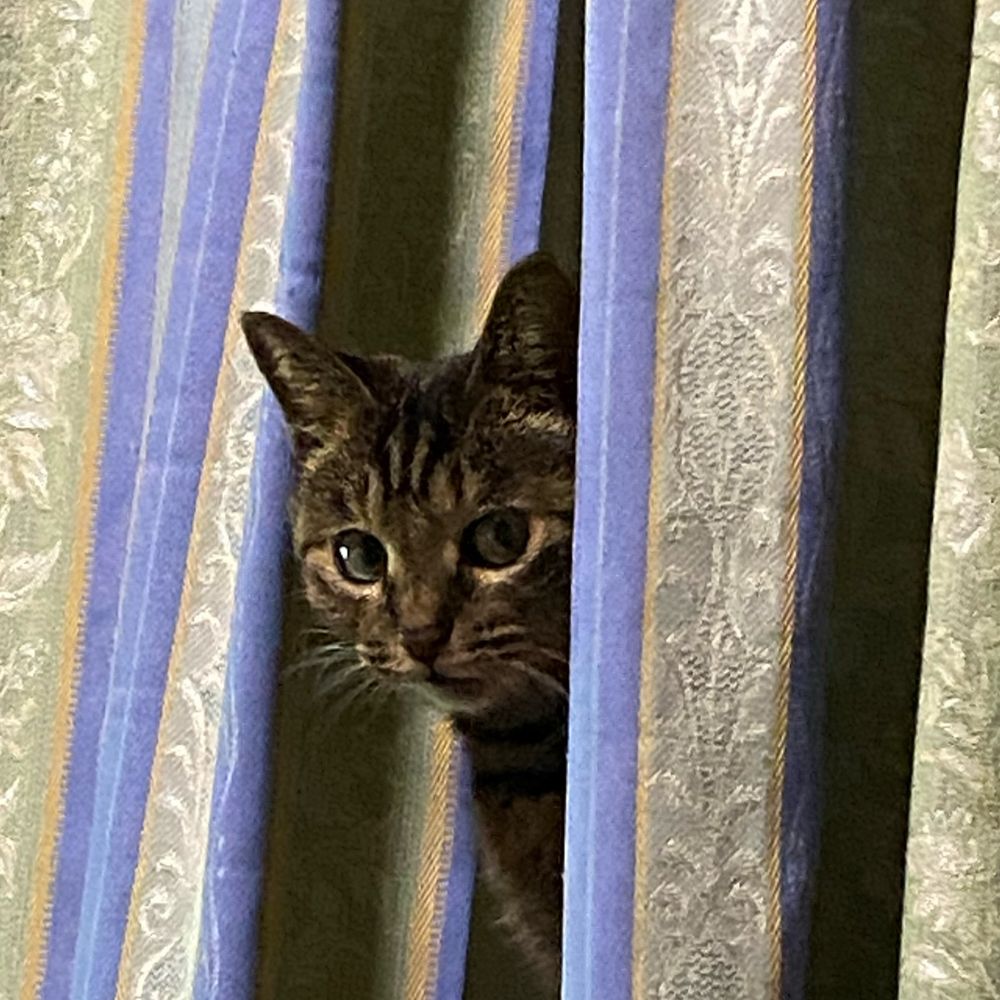 なっち