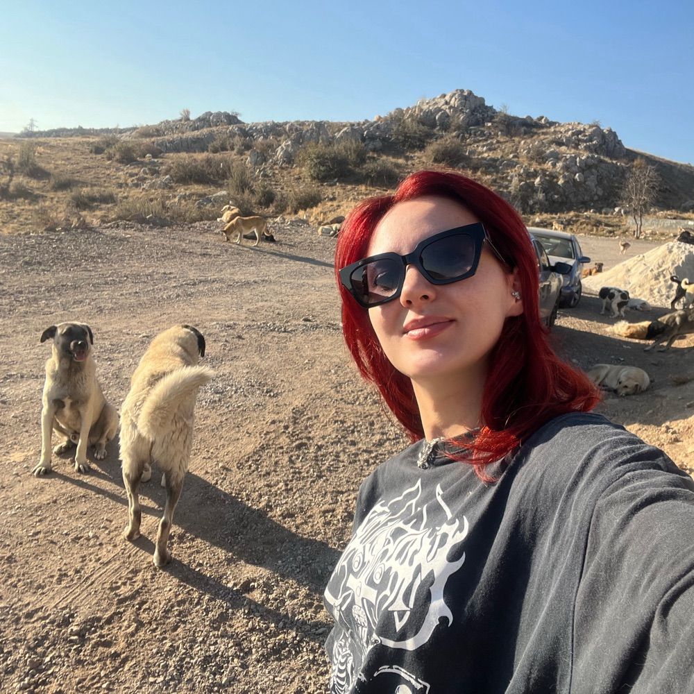 Süreyya Erdoğan