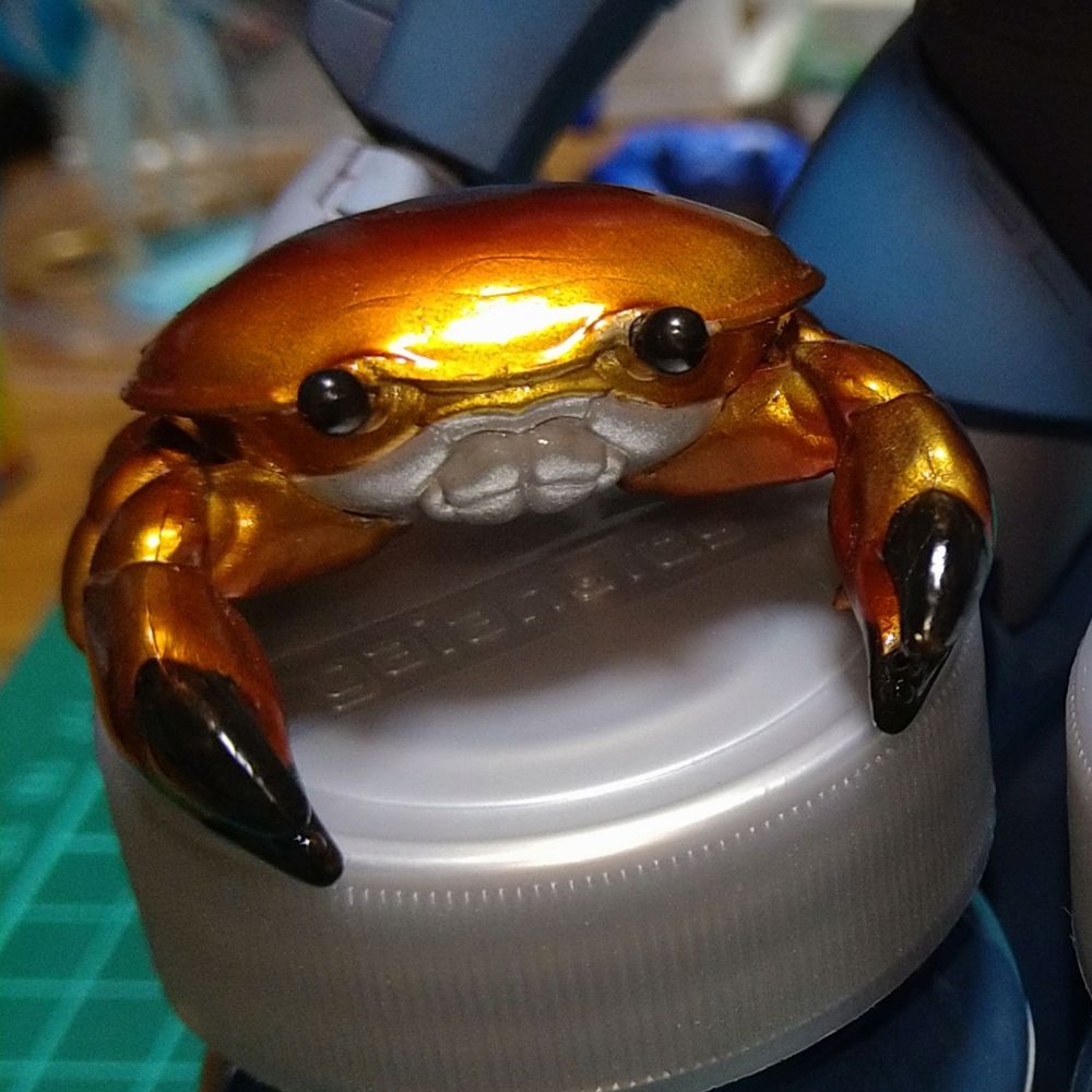 すべきゃに🦀
