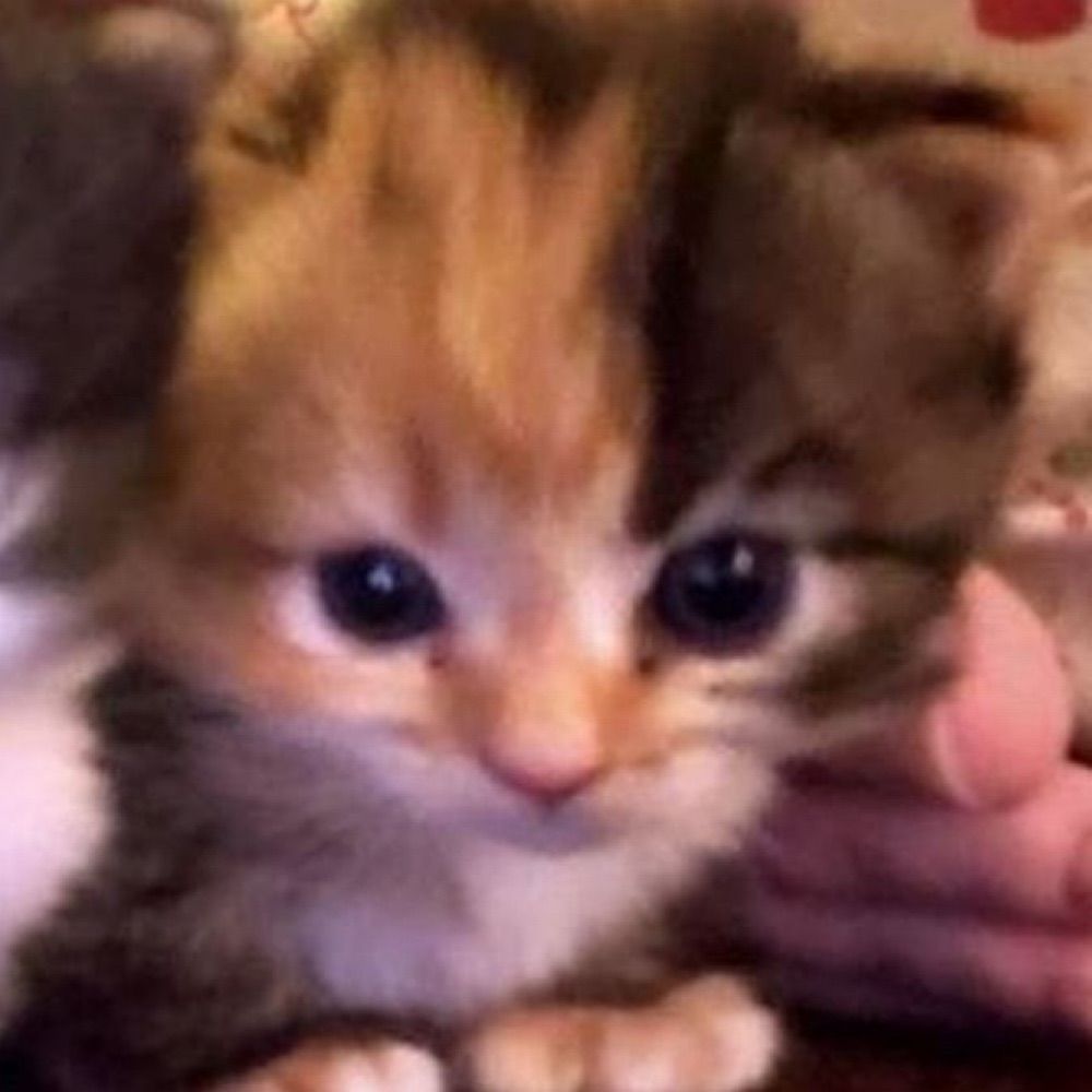 ☽