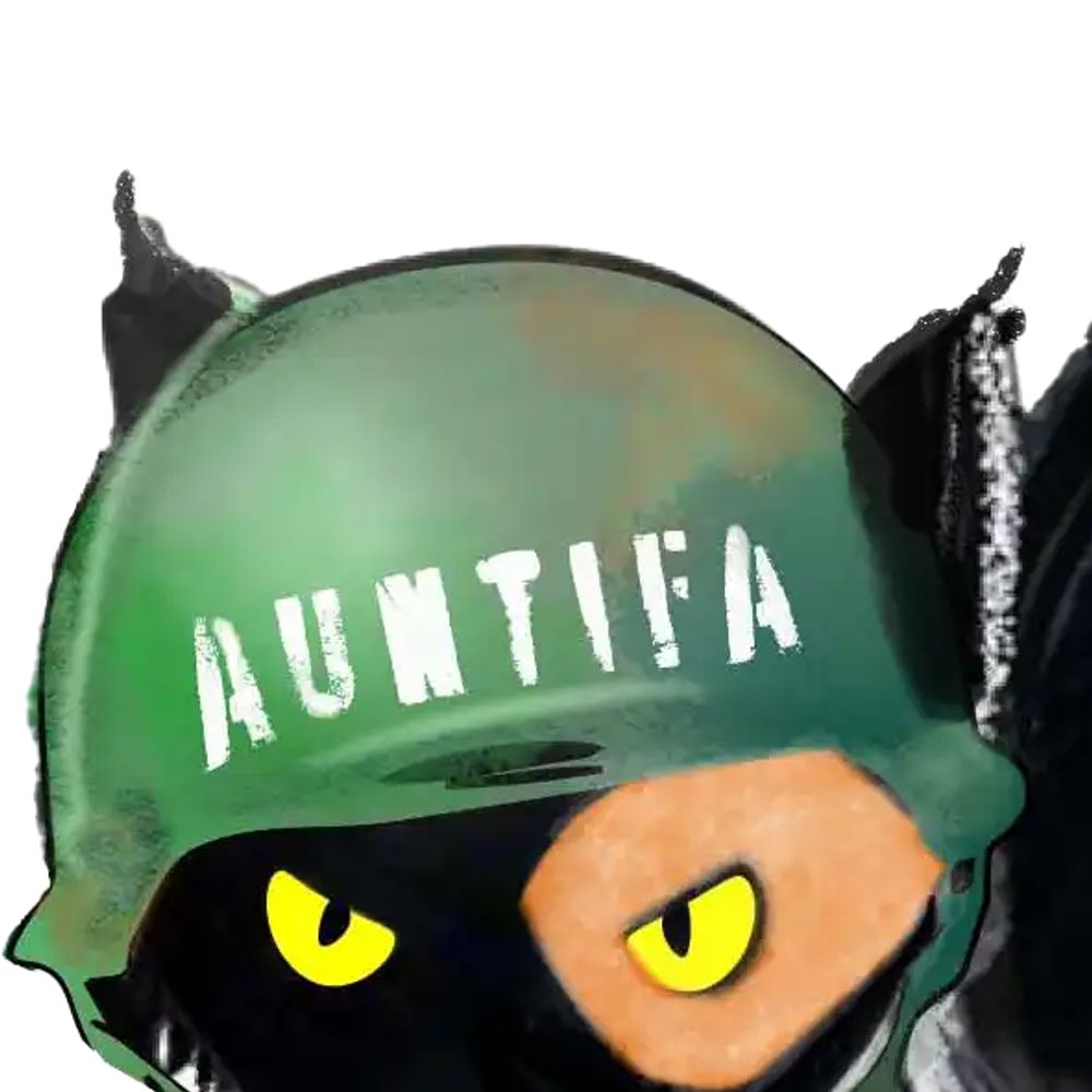 Feisty Cat