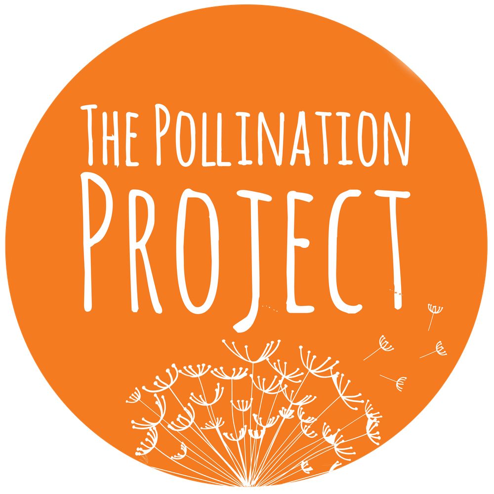 The Pollination Project