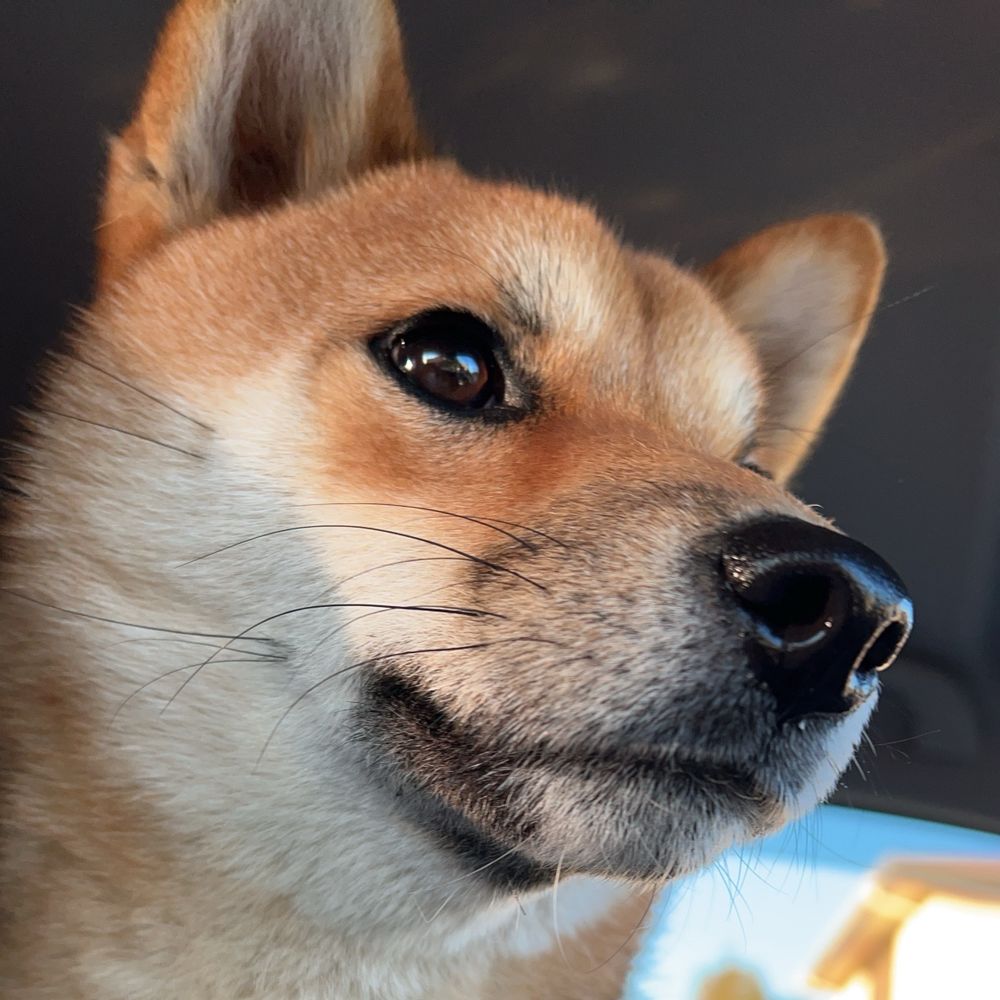 らむぽ