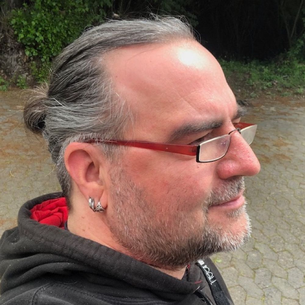 Ingo Sauer