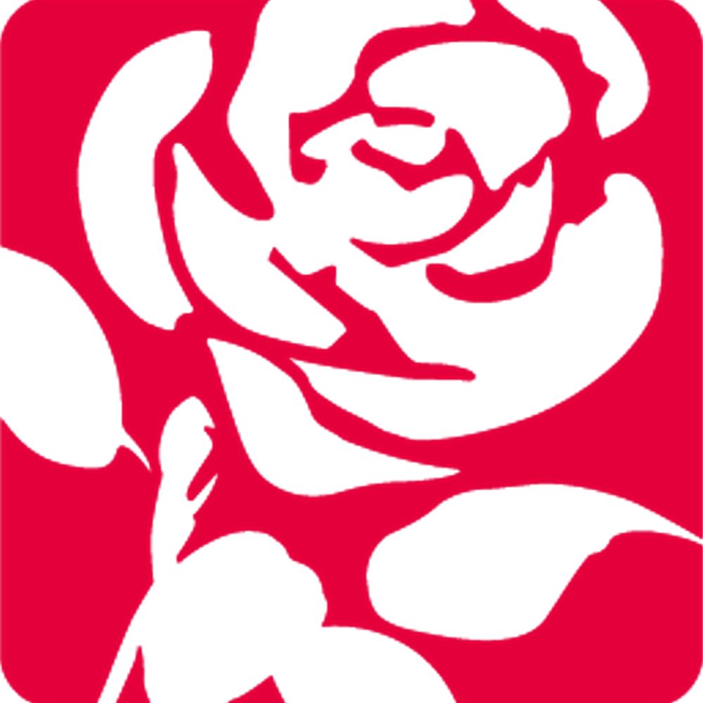 North Somerset Labour Party