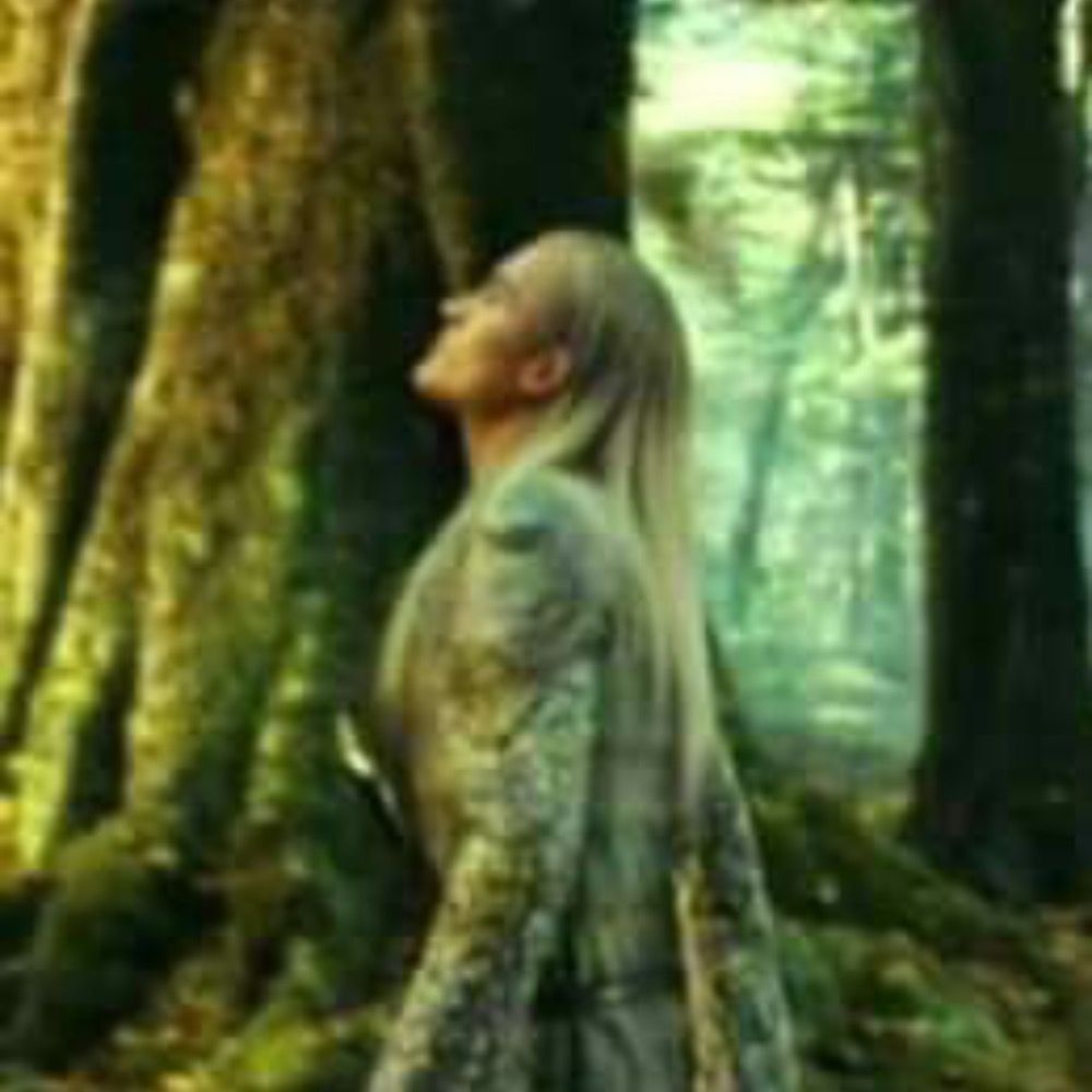 Stupid Elf Boy