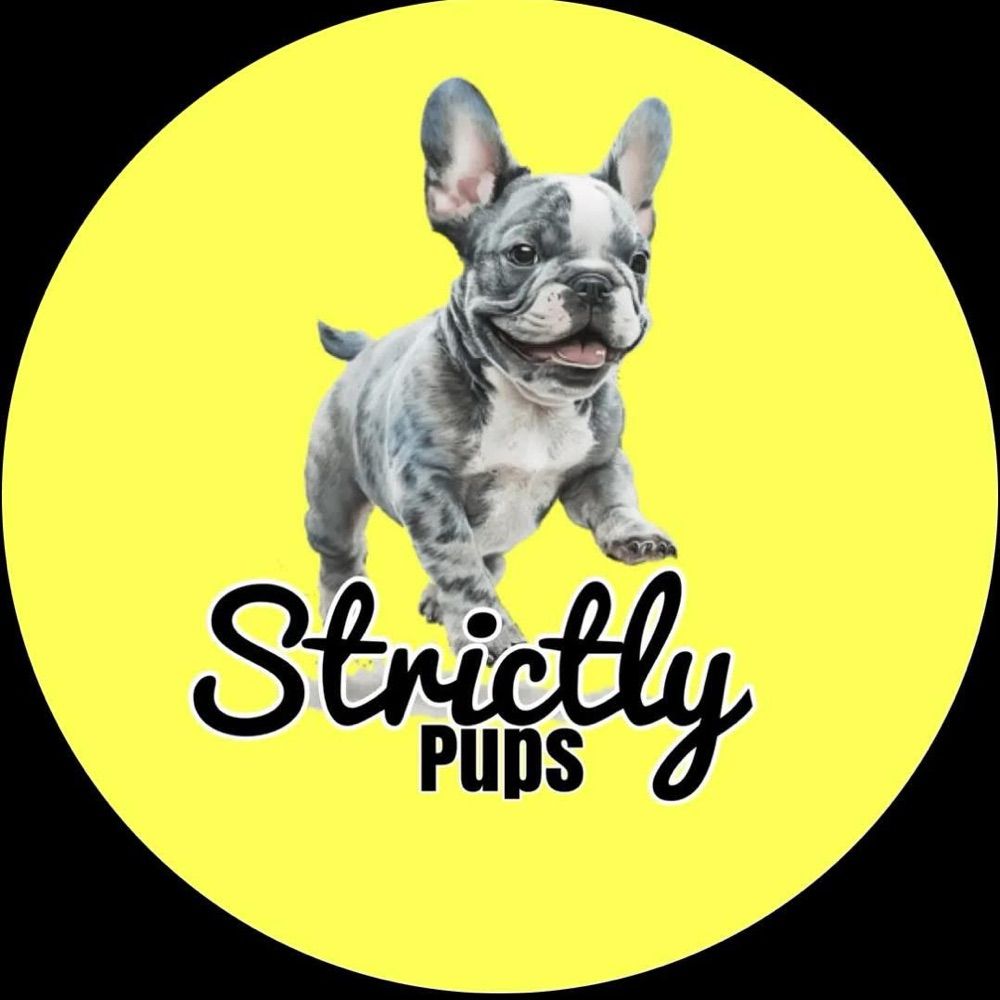 Strictlypups