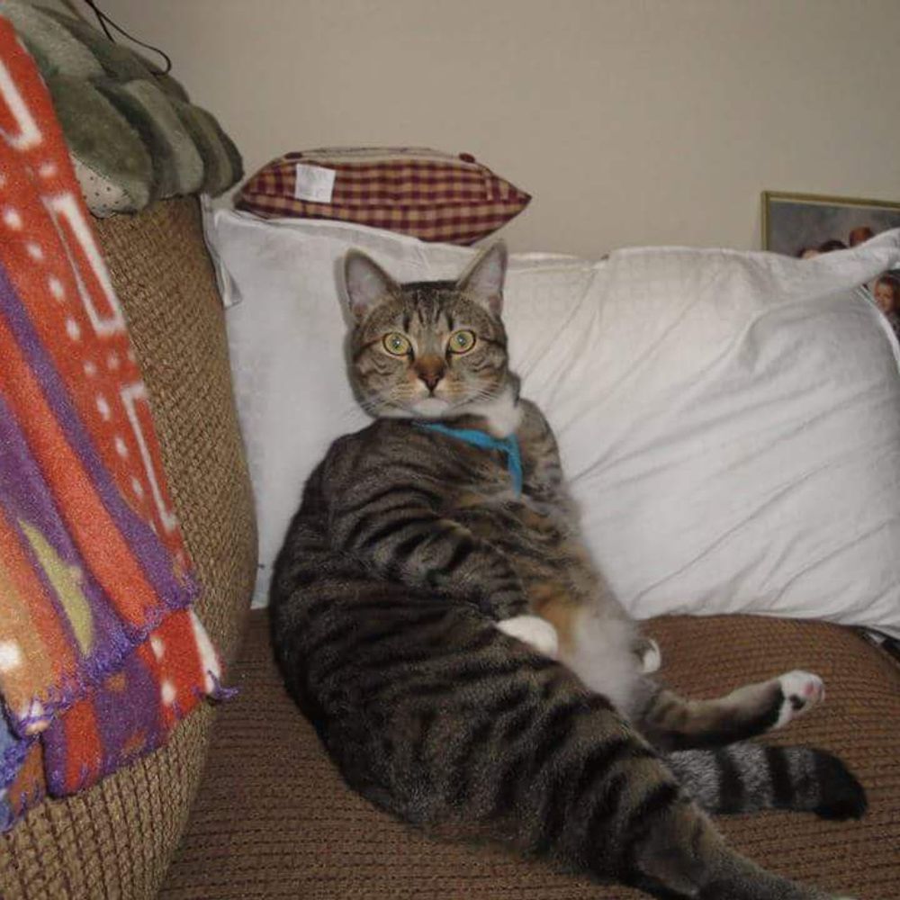 borrie57.bsky.social profile picture
