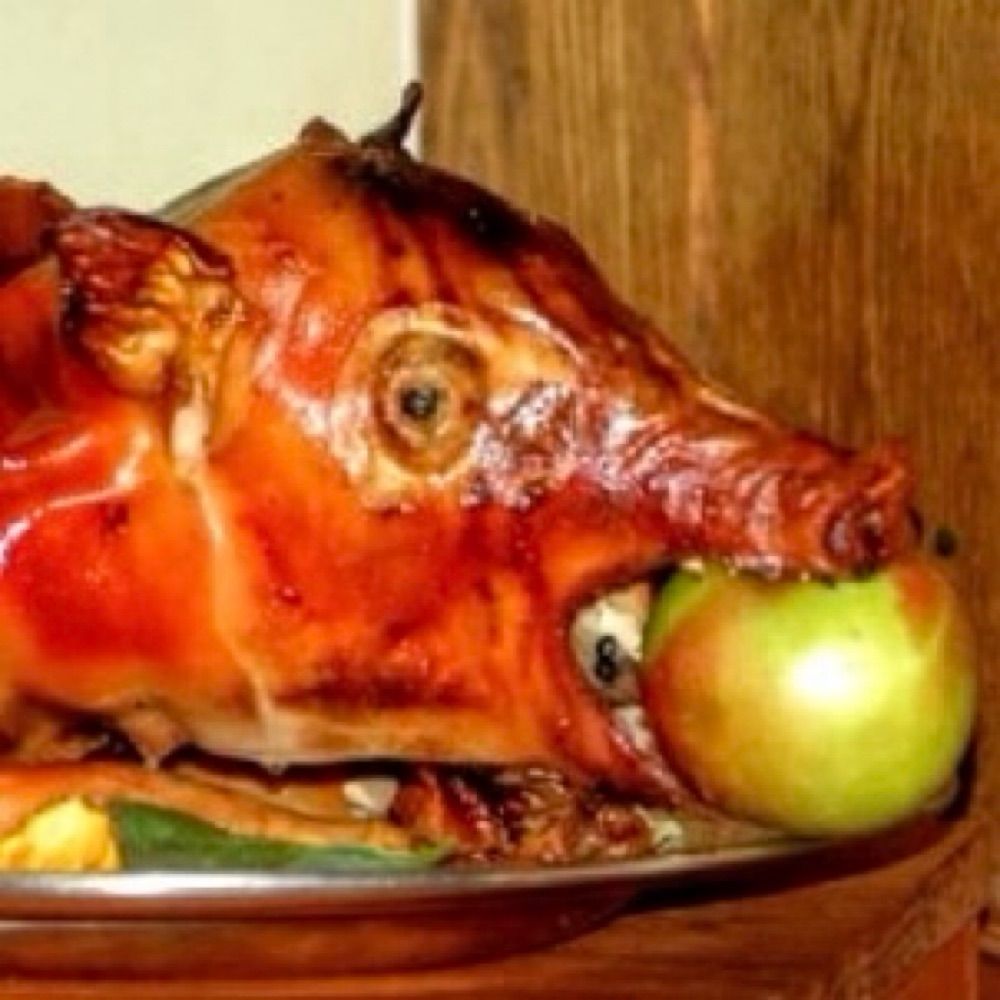 fish