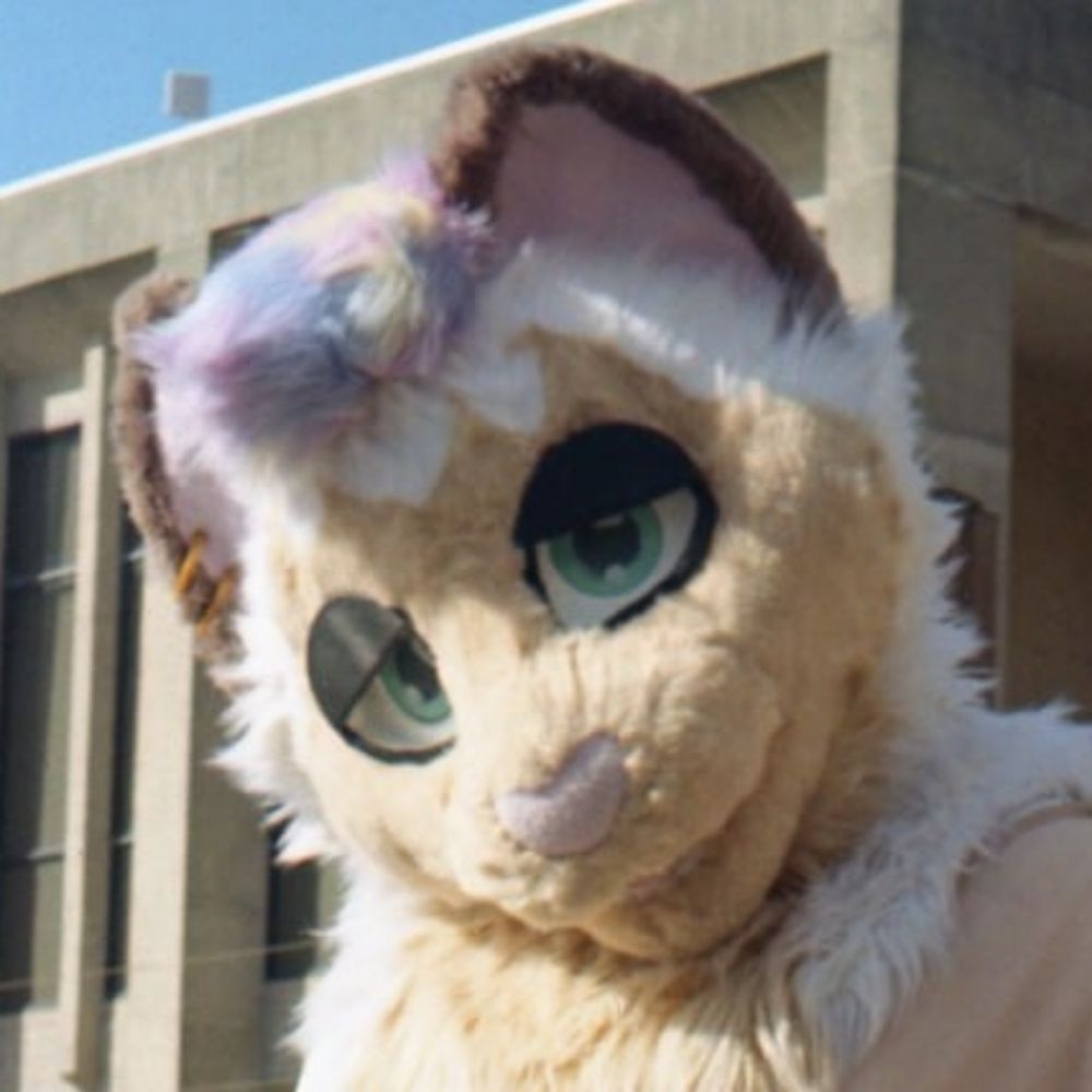 thymetime ➡️ Furlandia