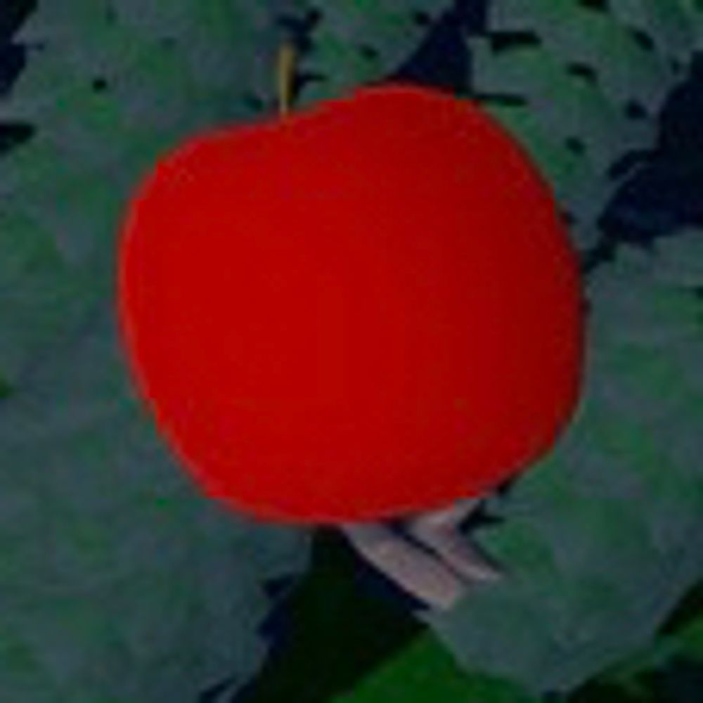 did-wayne-beat-it.bsky.social profile picture