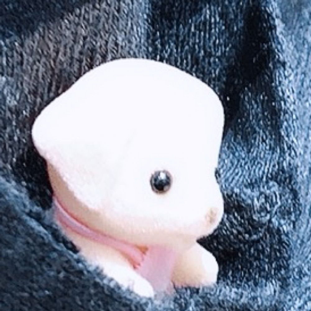 いちこ