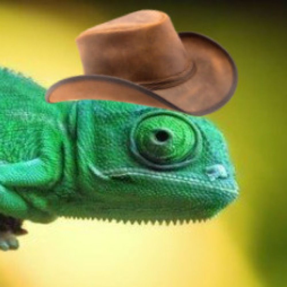 HowdyRango