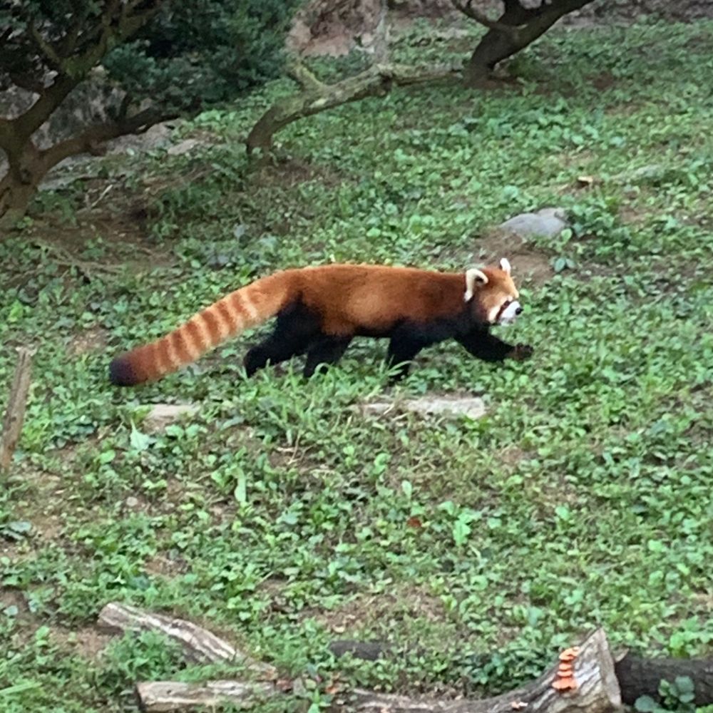 そらまめ。