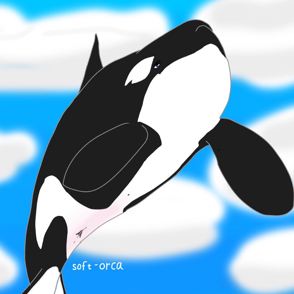 やわらかオルカ