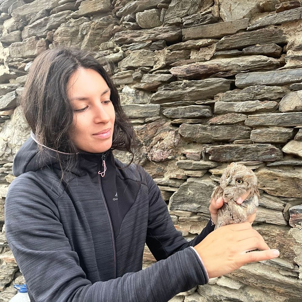 Ilaria Morandi