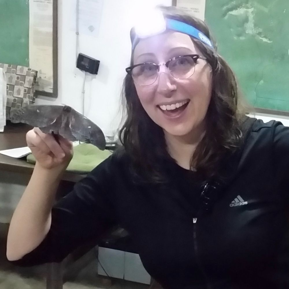 Steph N. Seifert, PhD