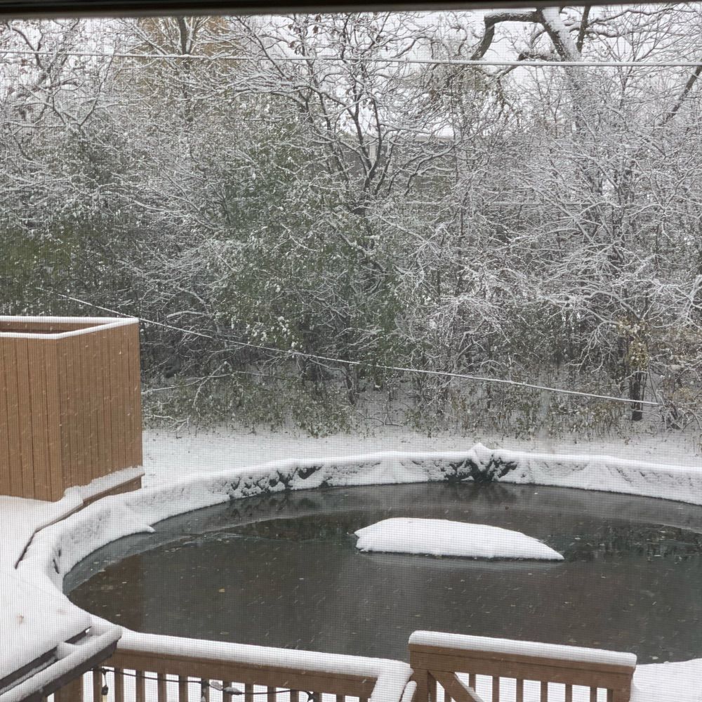 Dan’s pool