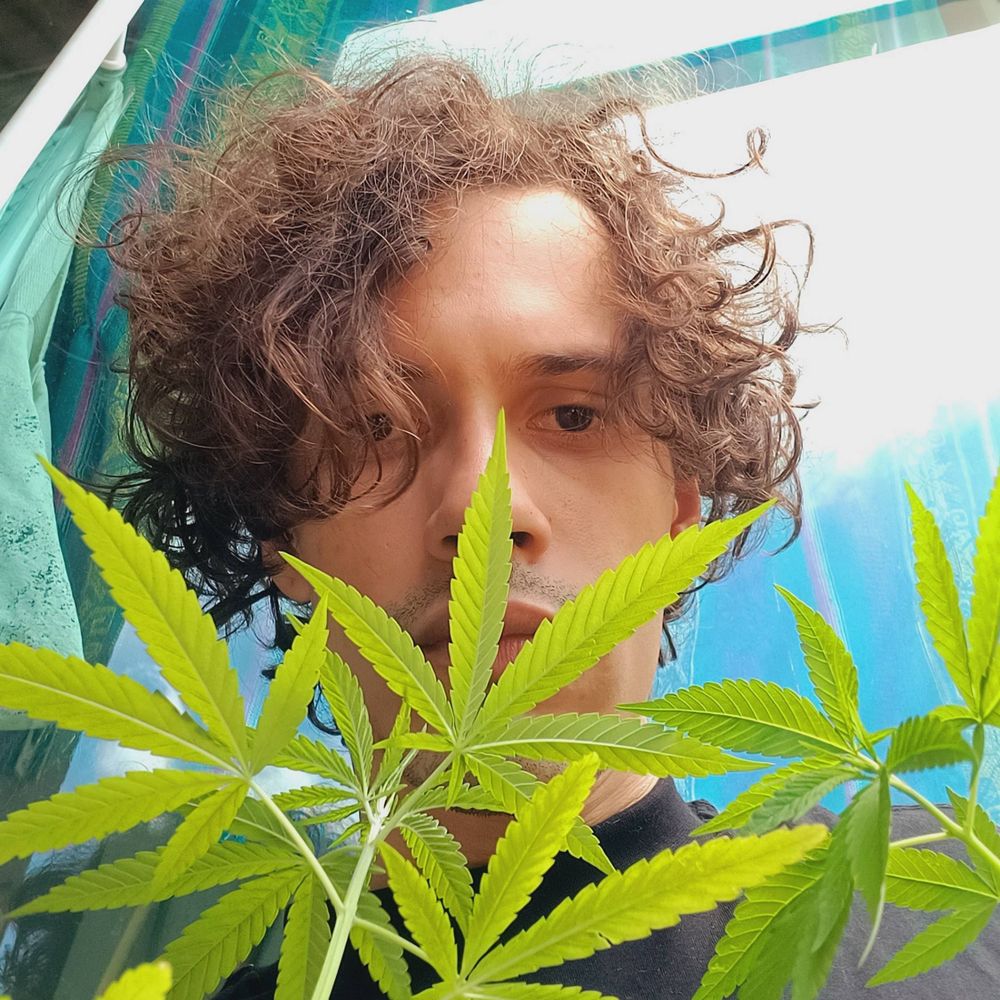 \/3C
