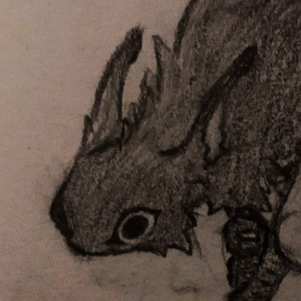 Dynocrys