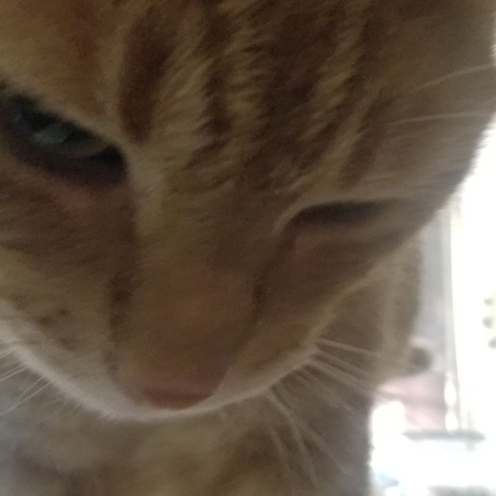 CheezyPepperoni