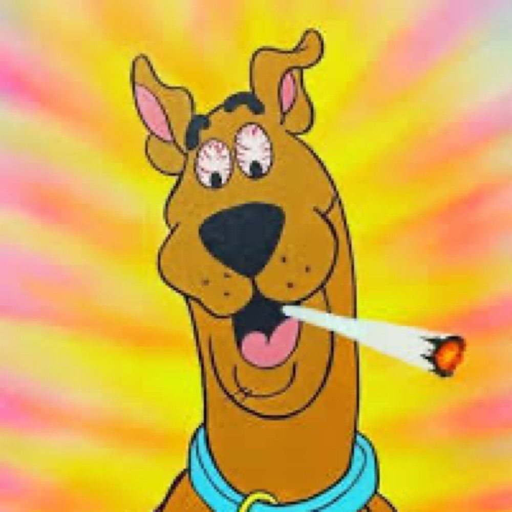 scoobiedoobiedoo.bsky.social profile picture