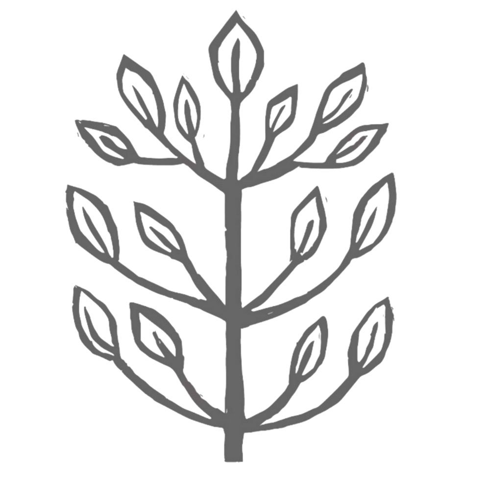 Tree of Life Studio
