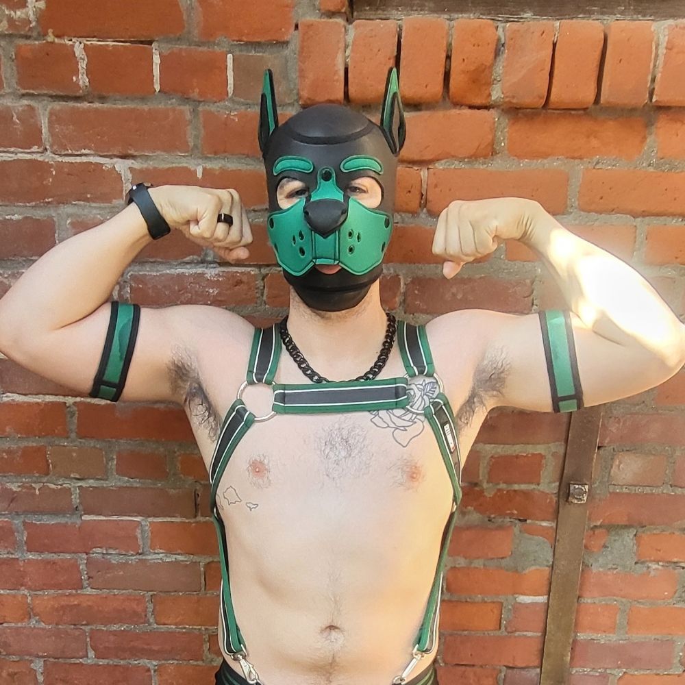 Alpha Jax
