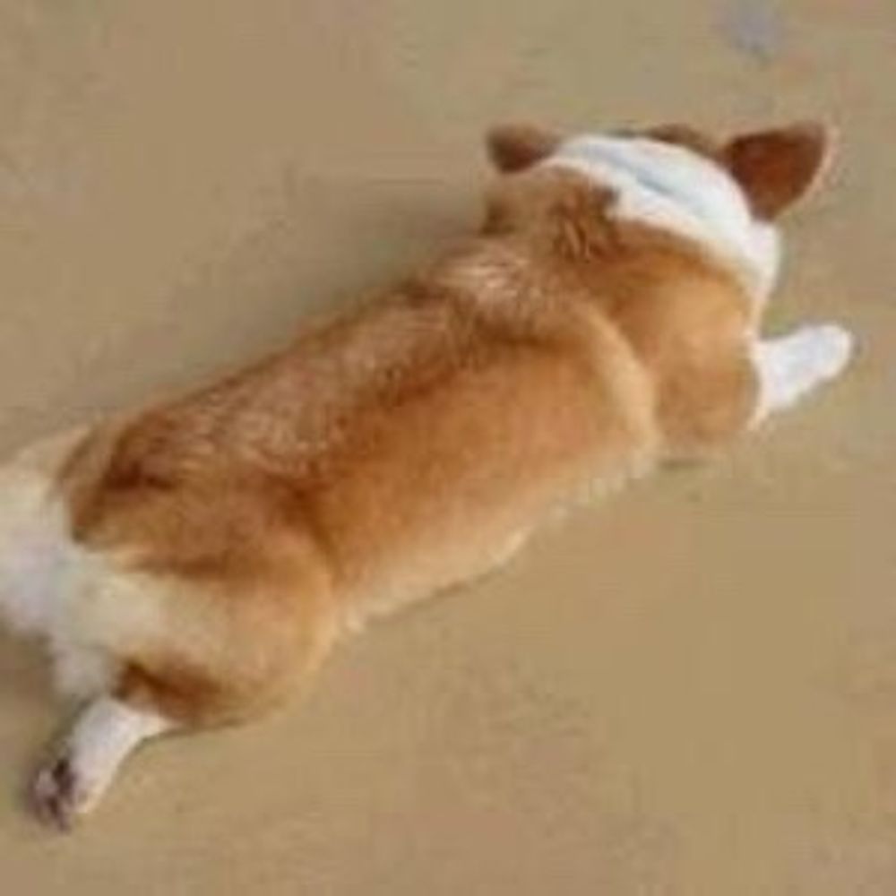 ちこ