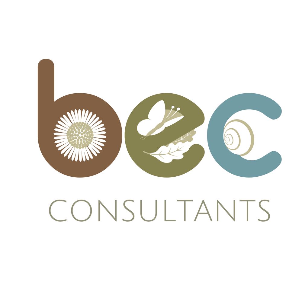 BEC Consultants