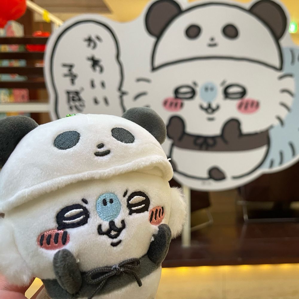 せりか🐰