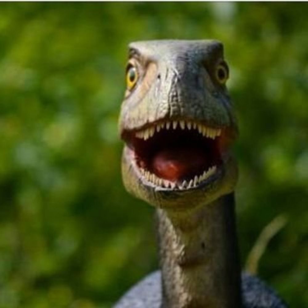 Aspiring Velociraptor 