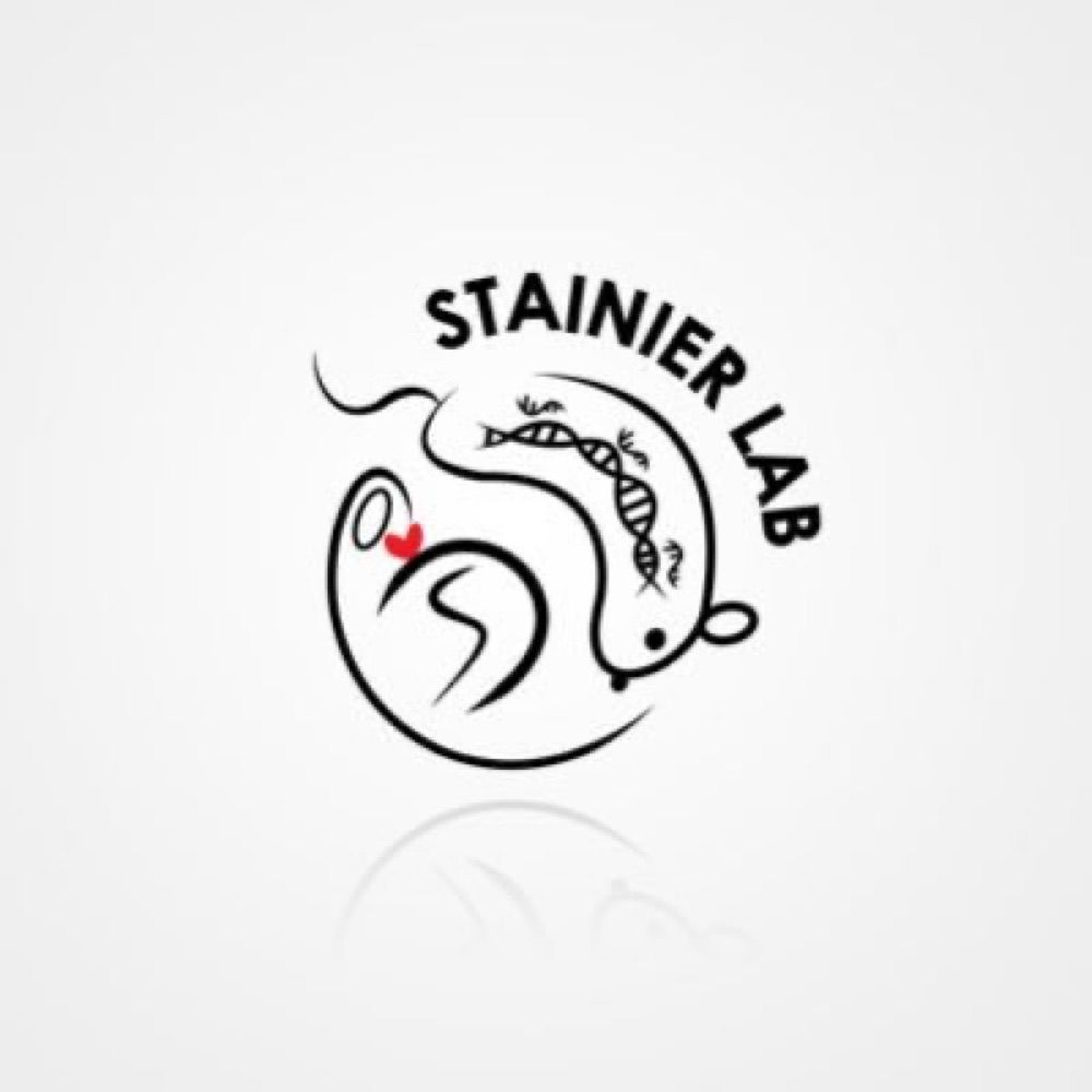 Stainier Lab