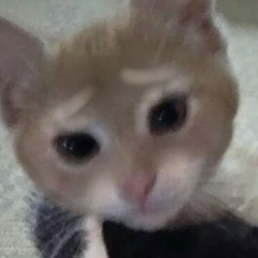 생계형남창