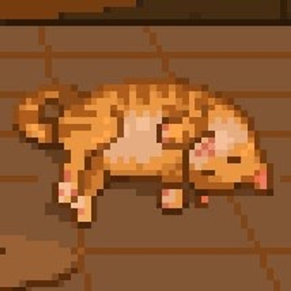 애옹