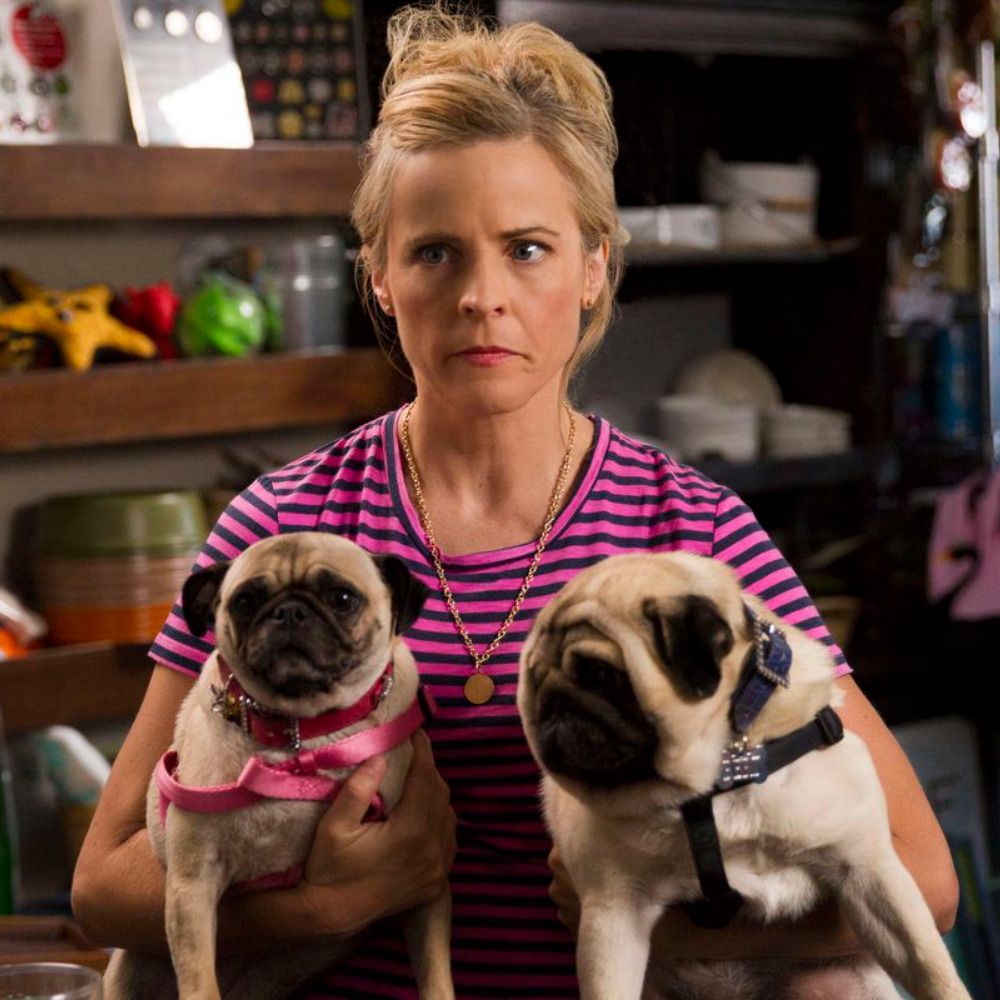 lady dynamite