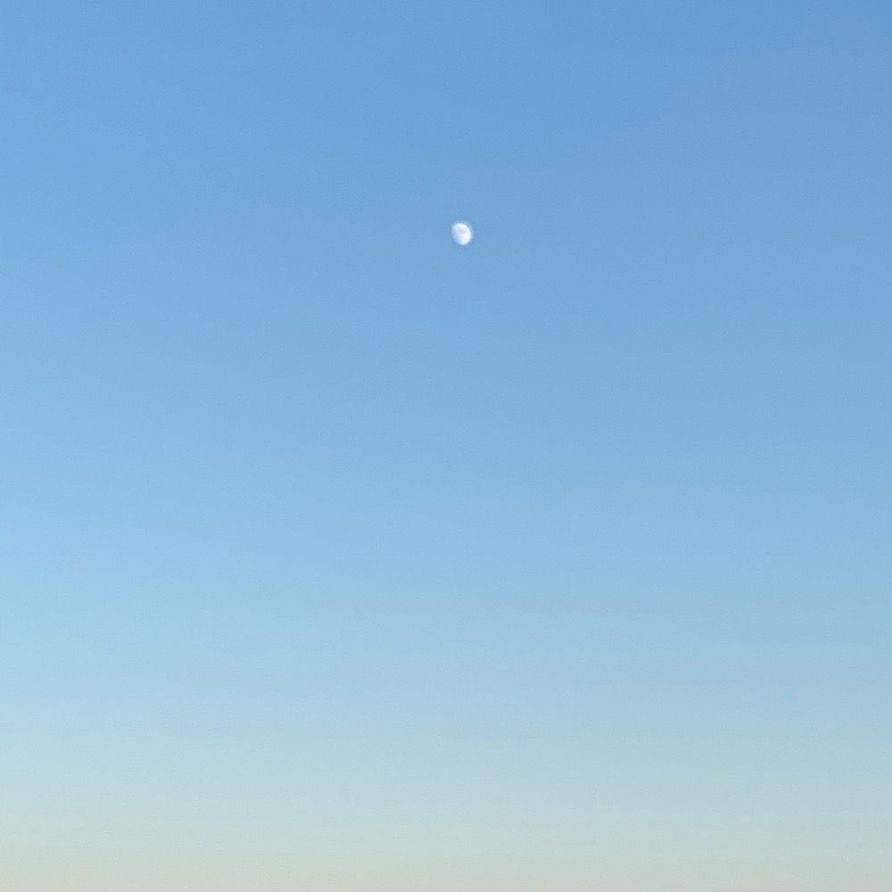 まつちゃ