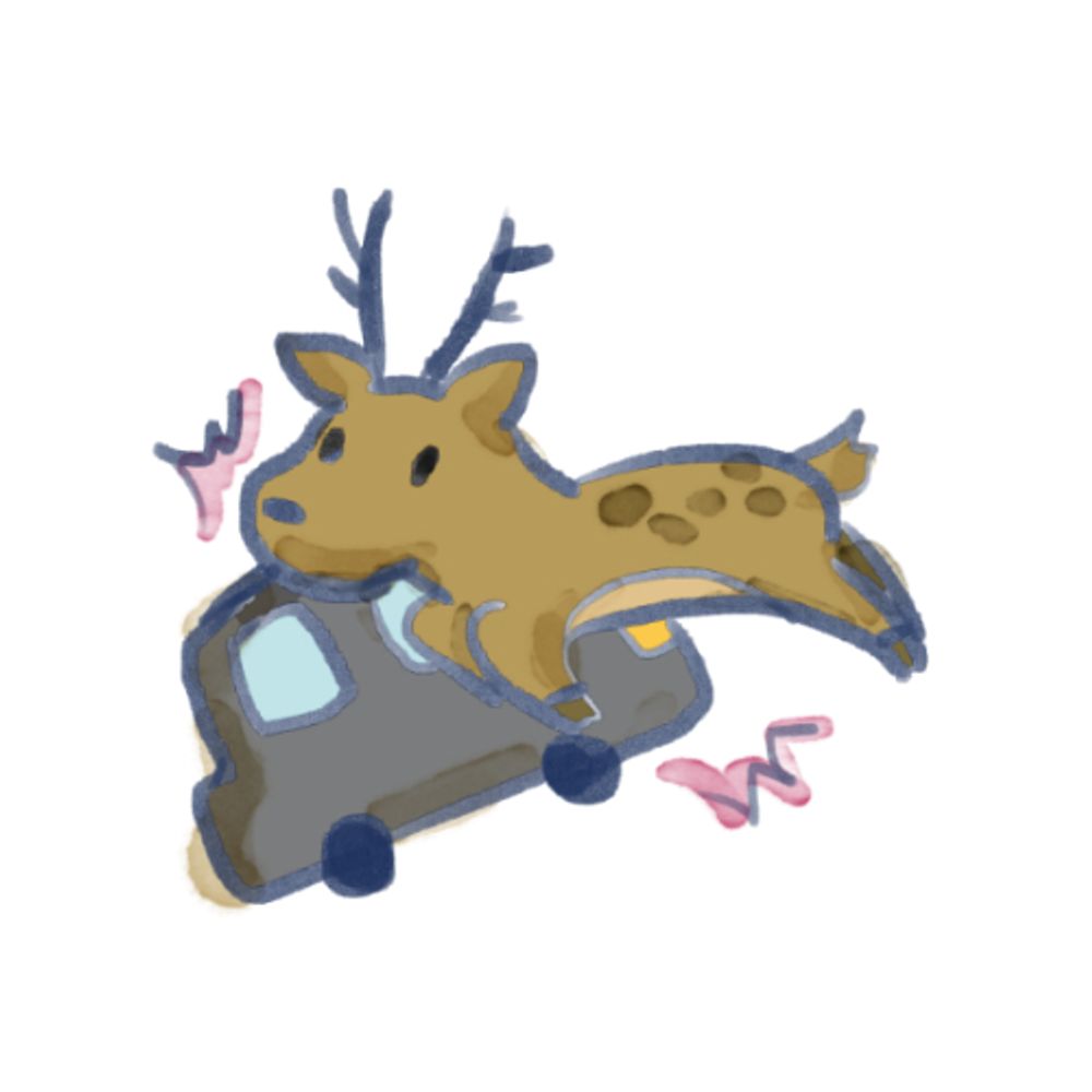 せとか