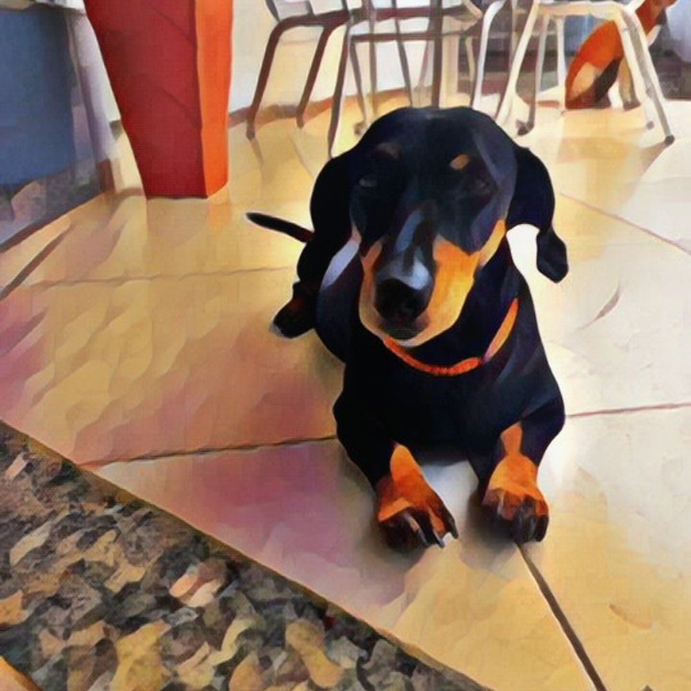Marcelo