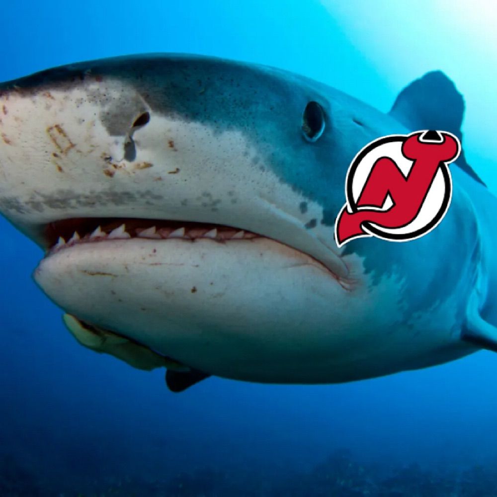 Shark Week