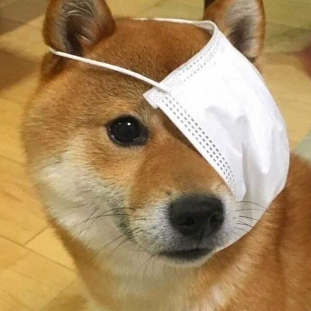 咸水长虫