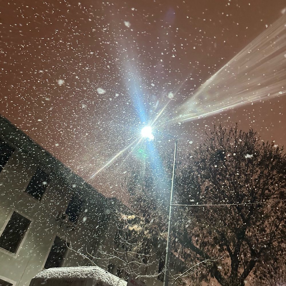 Mitokondriyaldna dedikya