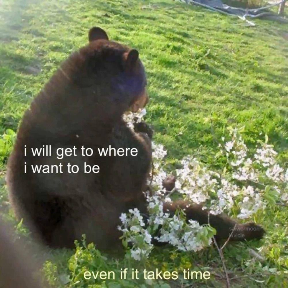 Quero a ling ling 
