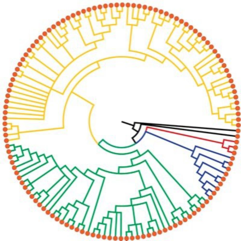 Orthotree