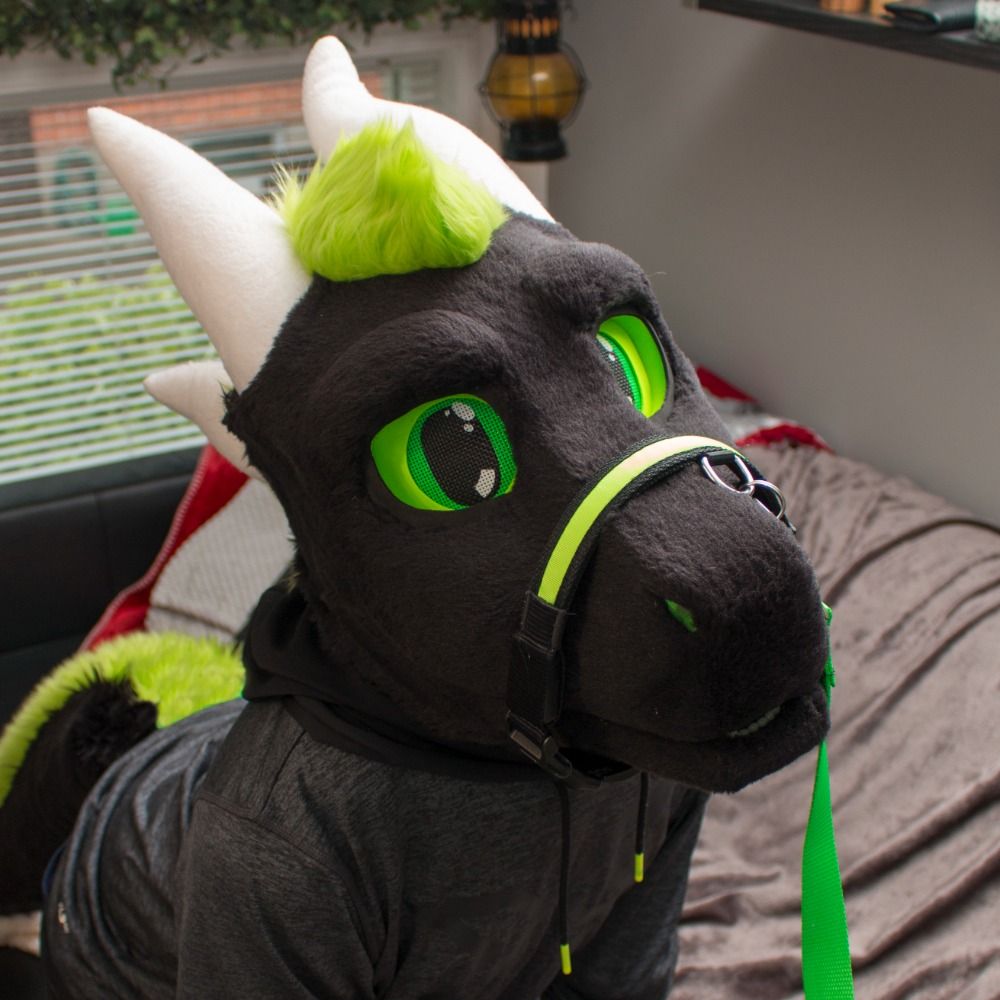 Nocte Dragon