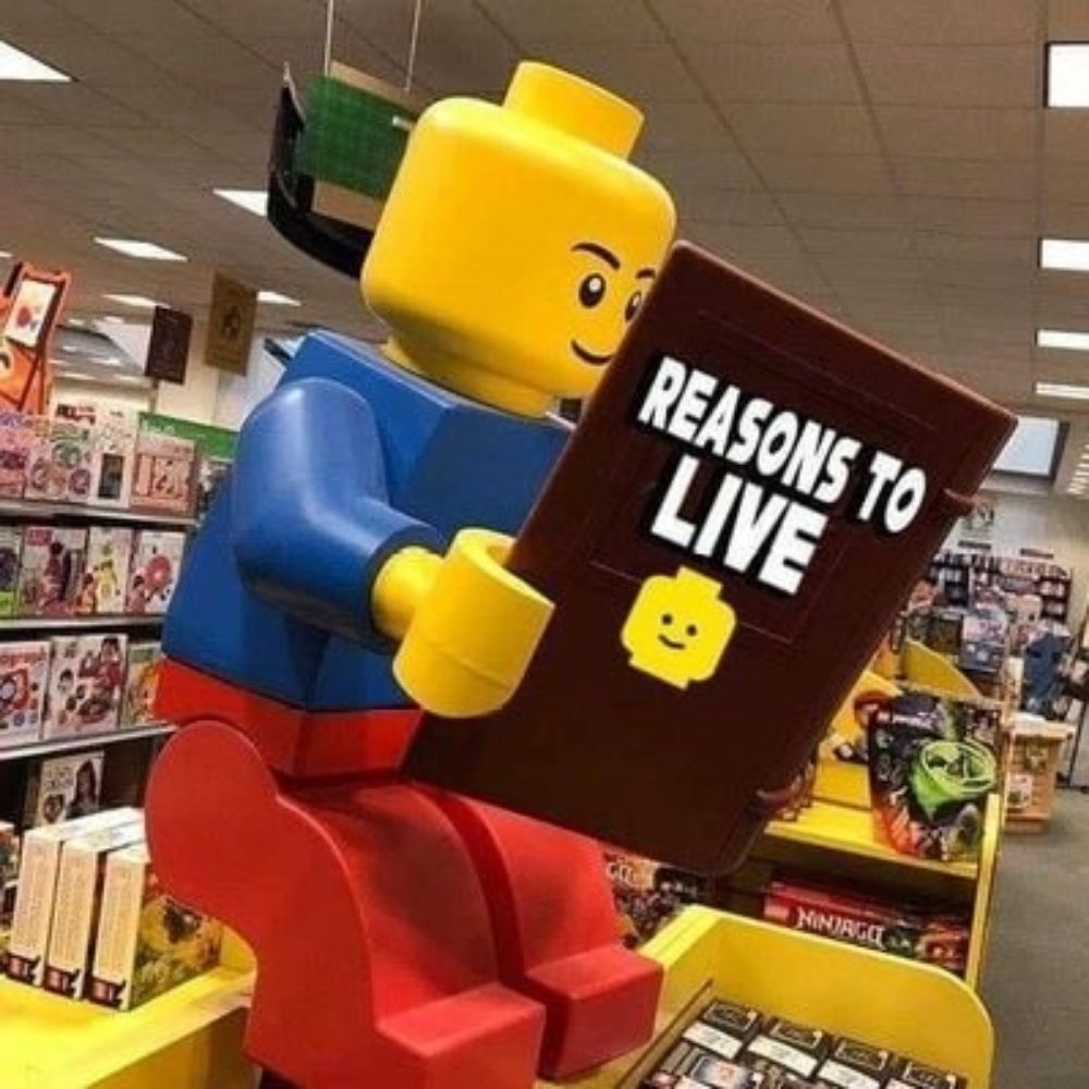 Shitpost Aleatorio