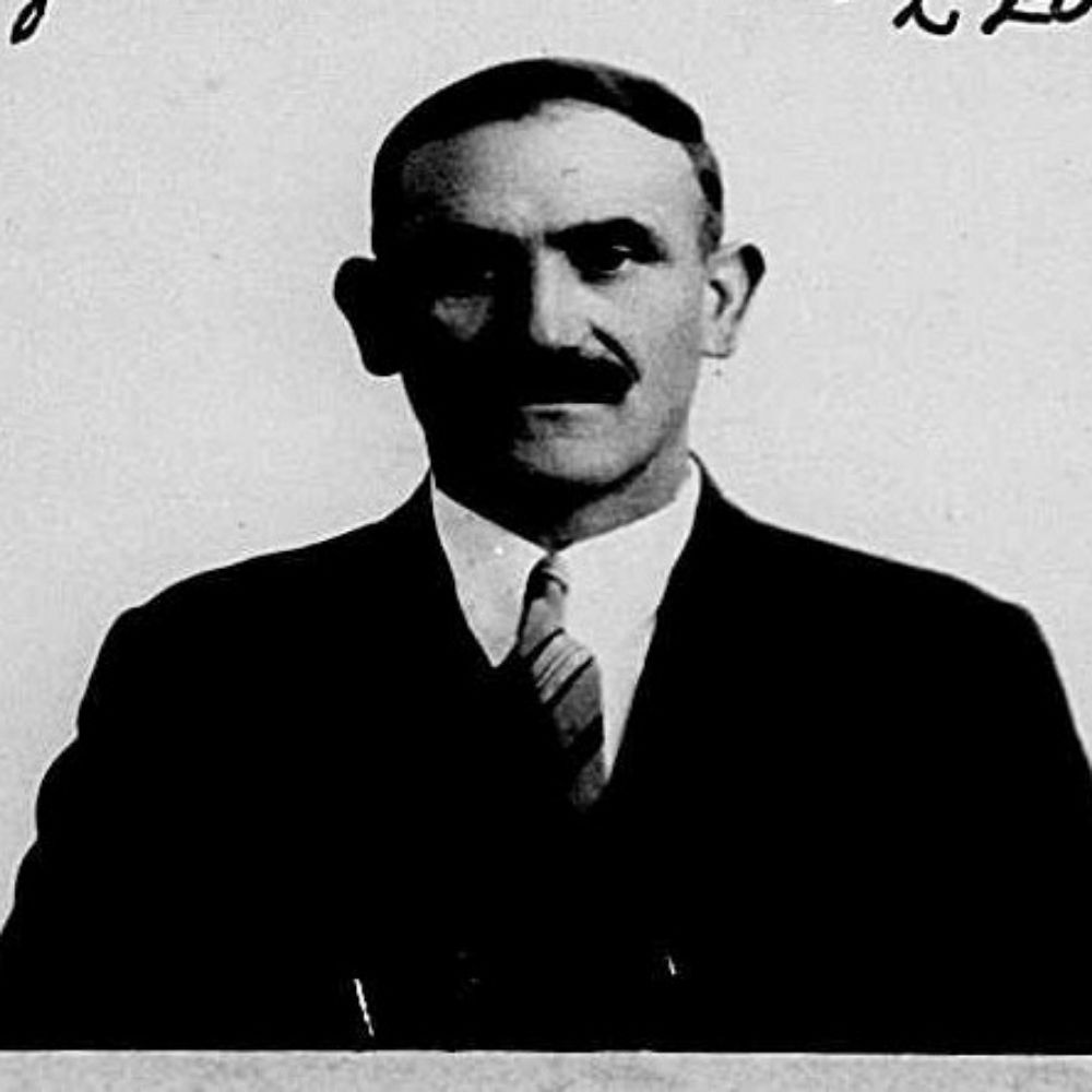 Diluvio P