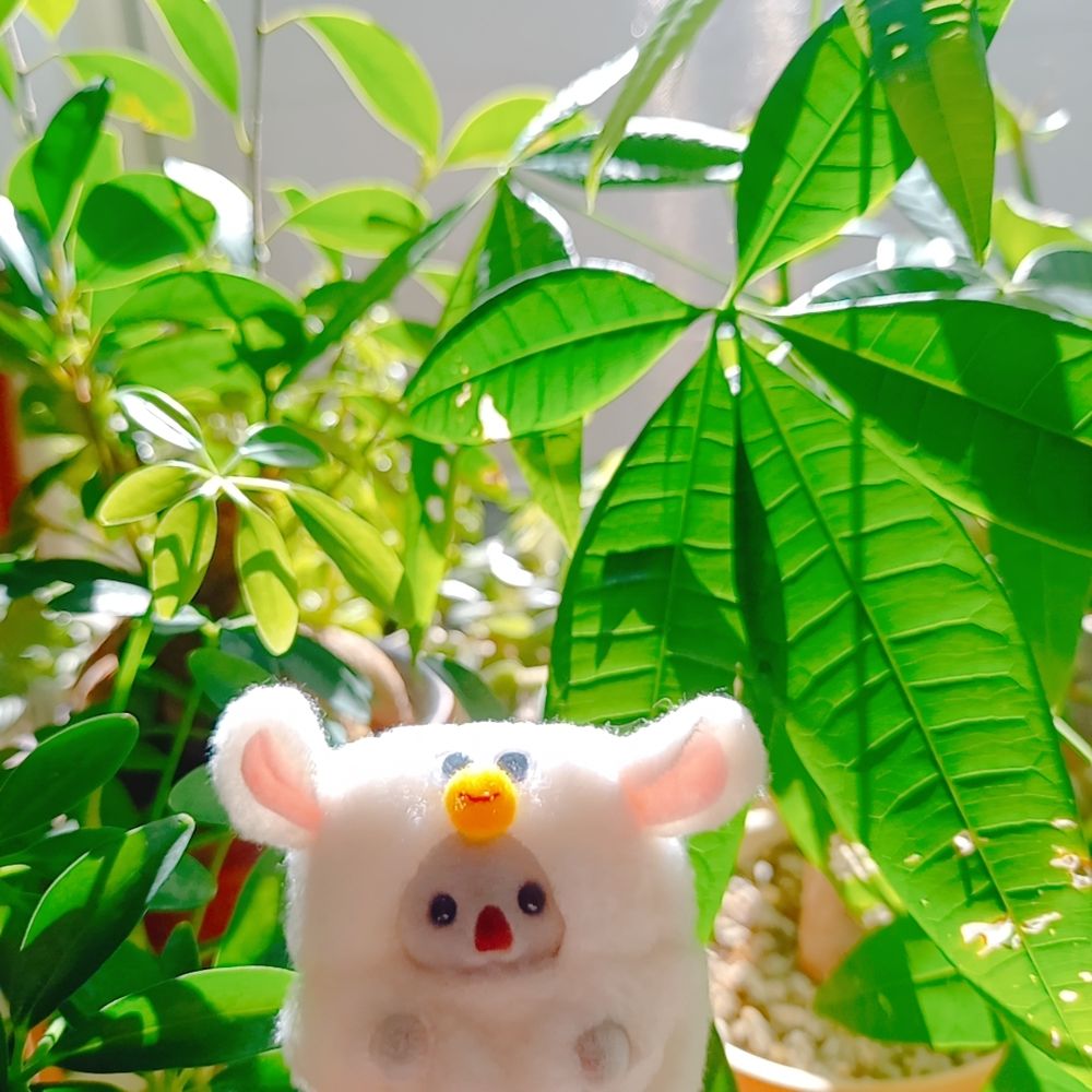 あや。