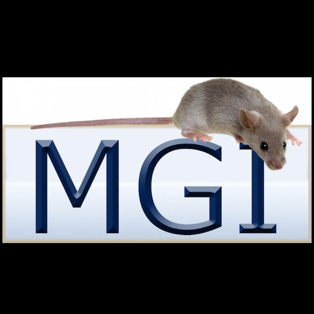 Mouse Genome Informatics